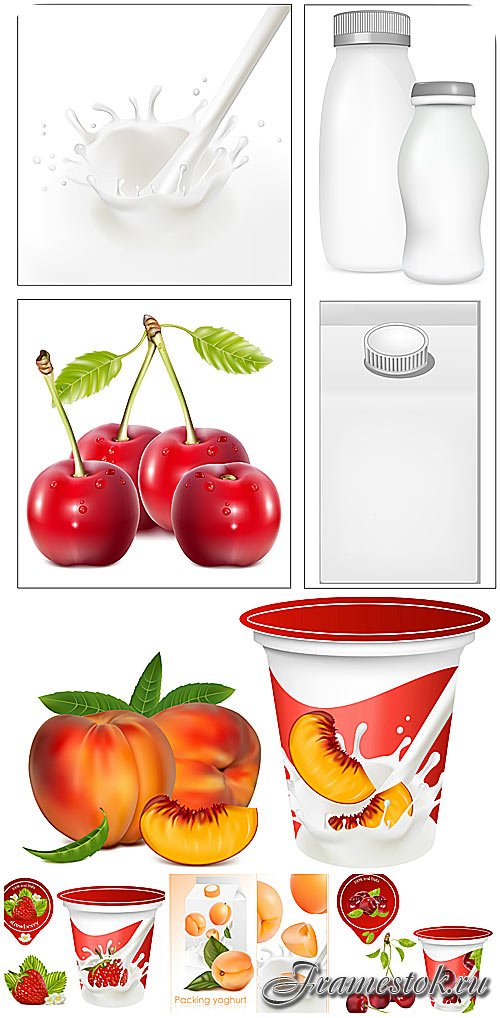 ,     / Fruit, fruit labels vector
