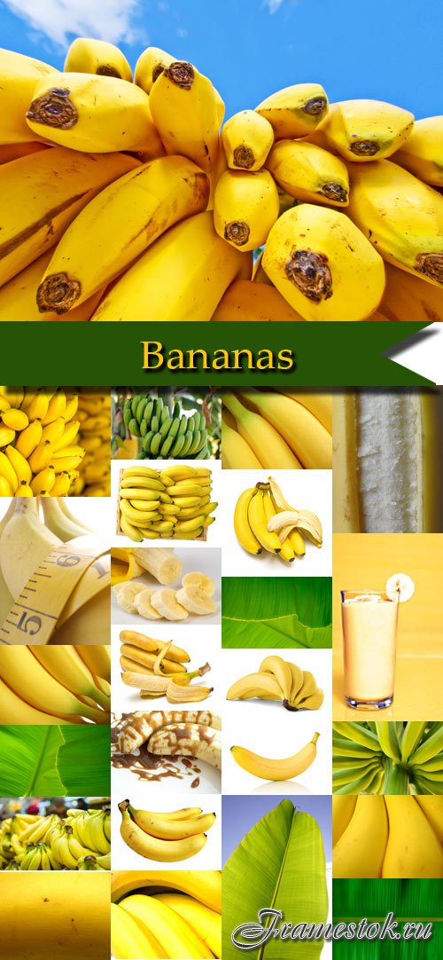 Stock photos bananas