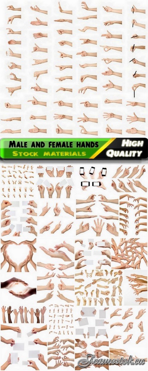 Male and female hands in different positions - 25 HQ Jpg