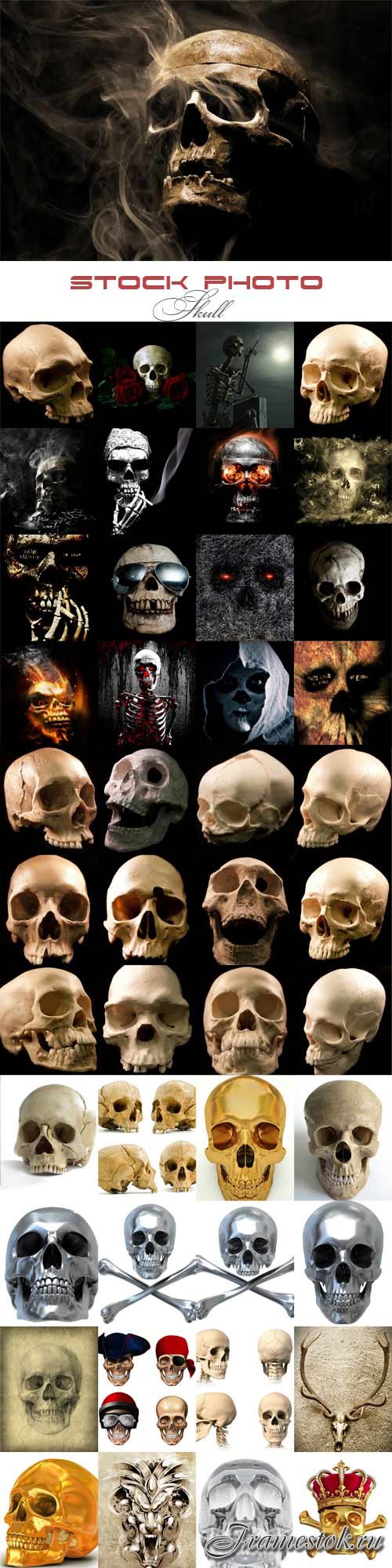Skull  raster graphics