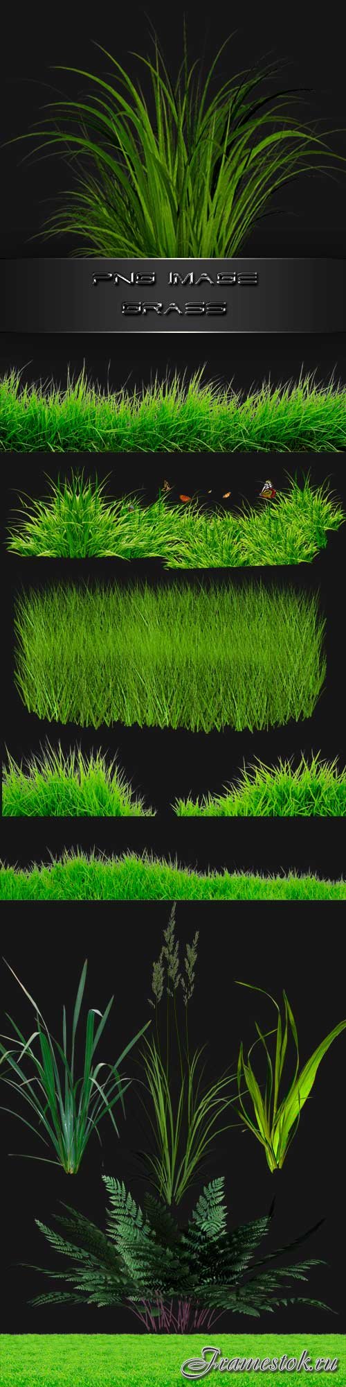 PNG clipart Grass