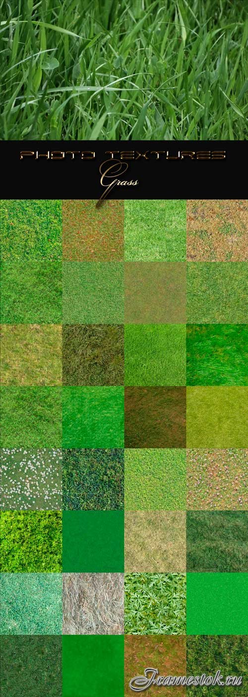 Texture of the grass for design
