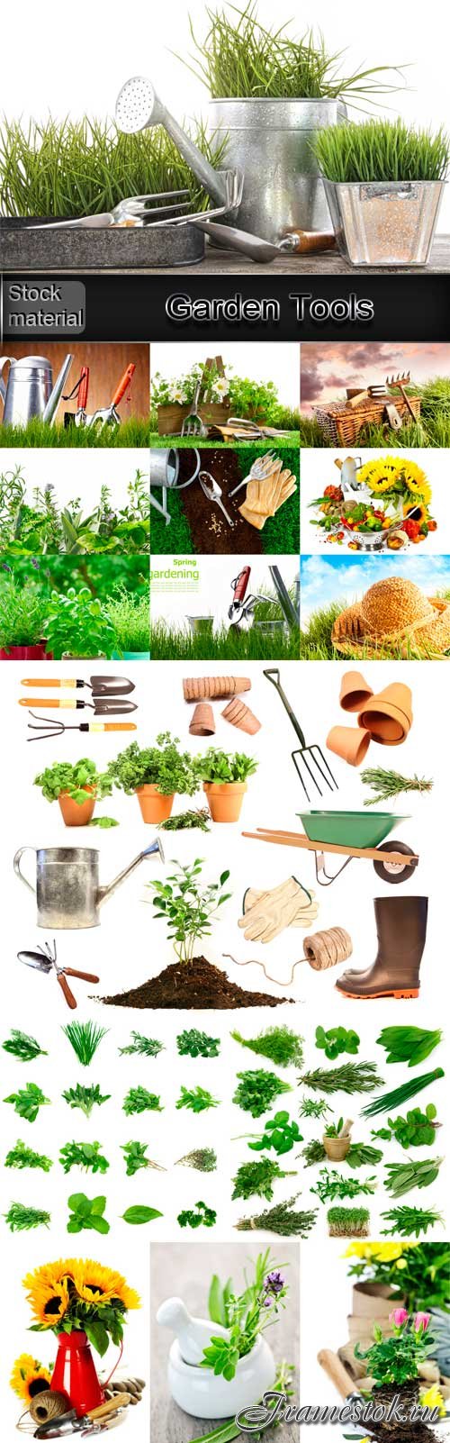 Vegetables, Flowers and Garden Tools