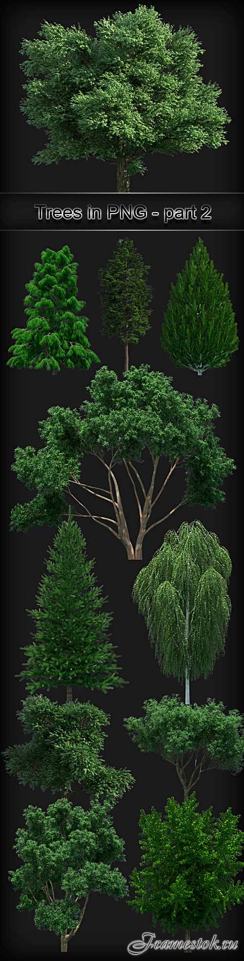 Trees on a transparent background PNG - 2