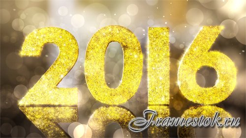 2016 New Year Gala footage