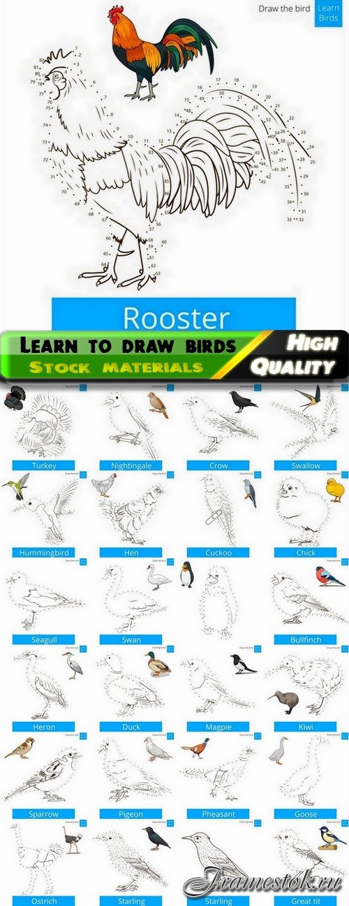 Learn to draw birds dot to dot 2 - 25 Eps