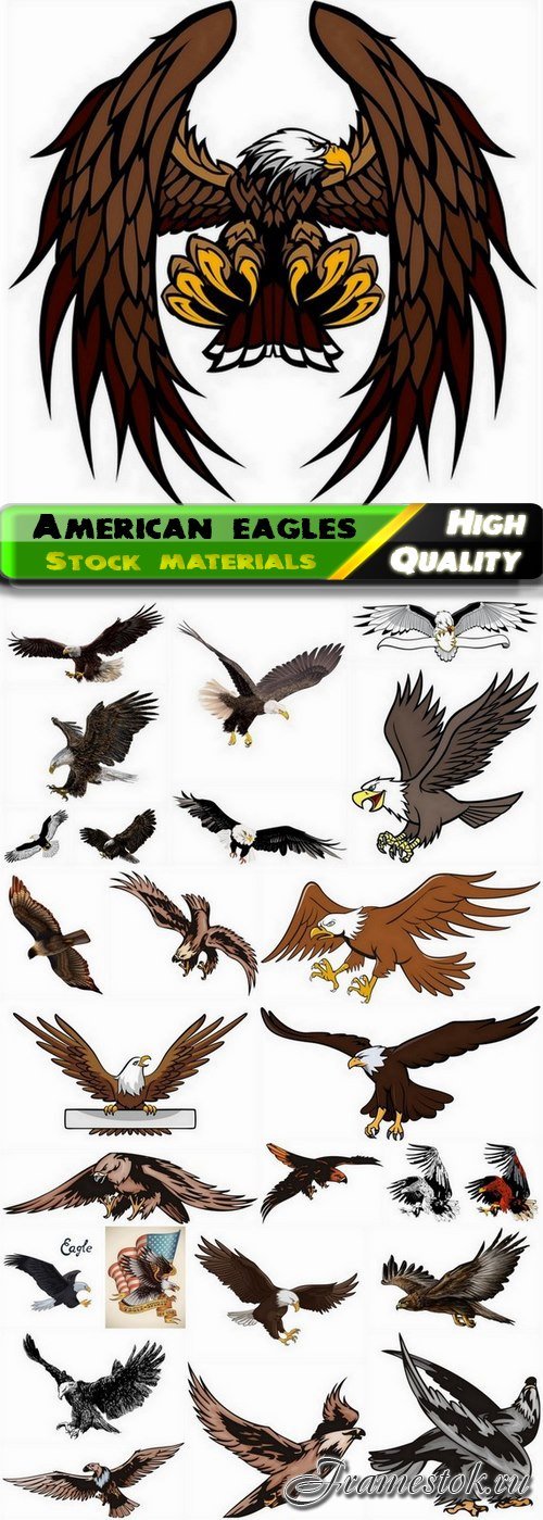 American eagles and heraldry elements - 25 Eps
