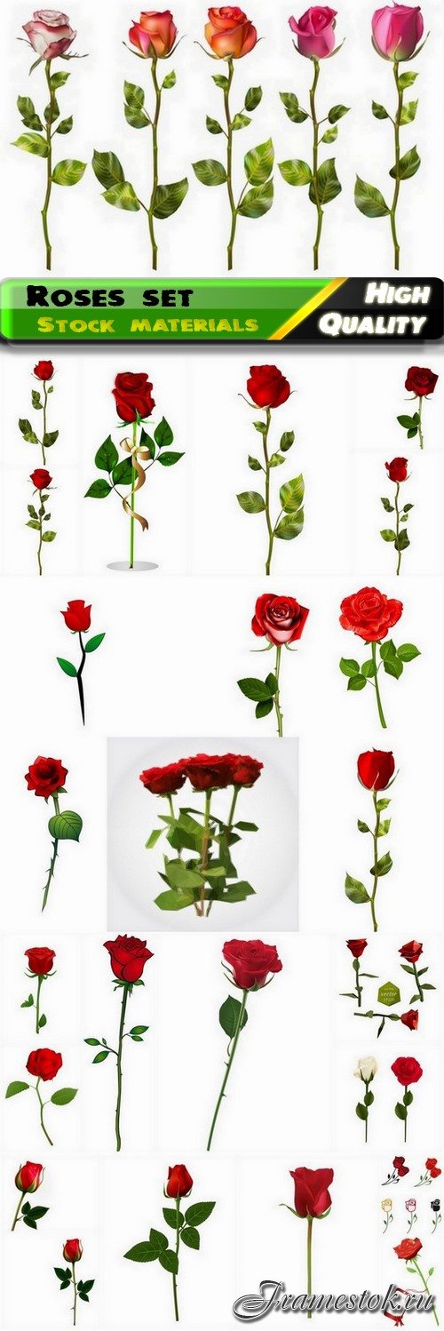 Realistic red roses illustrations - 25 Eps