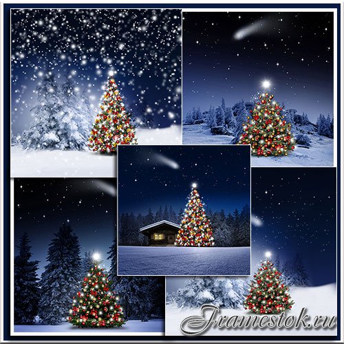       - Christmas fir tree in the night forest