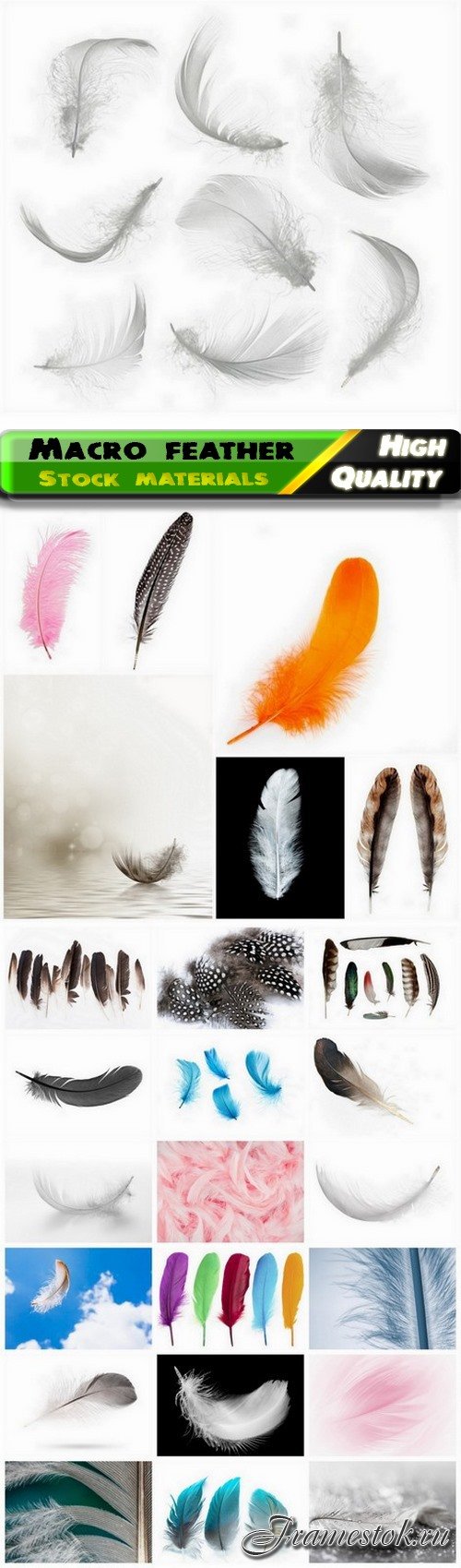 Macro feather and colored feathers of different birds 25 HQ Jpg