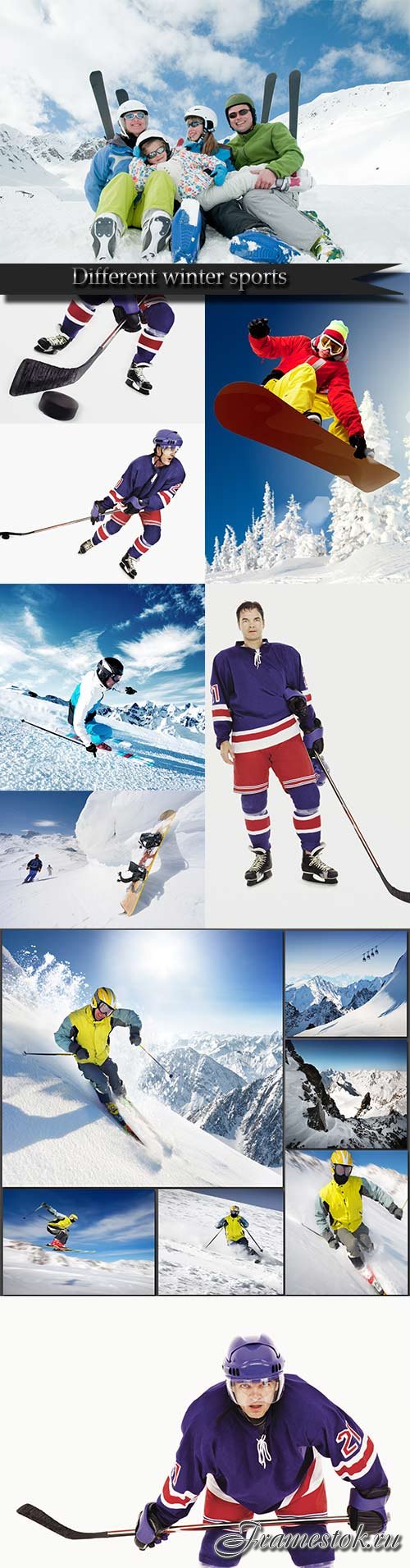 Different winter sports