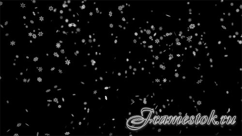 Beautiful falling snowflakes on a black background