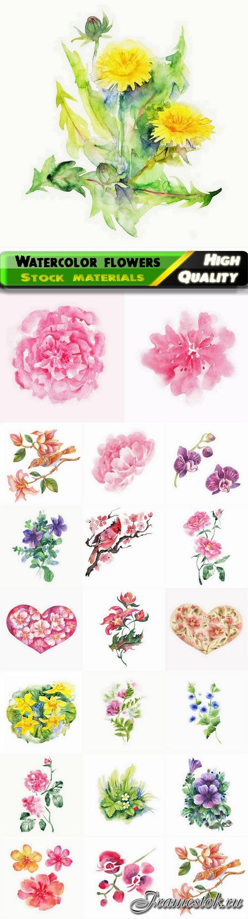 Beautiful watercolor spring and summer flowers 20 Eps