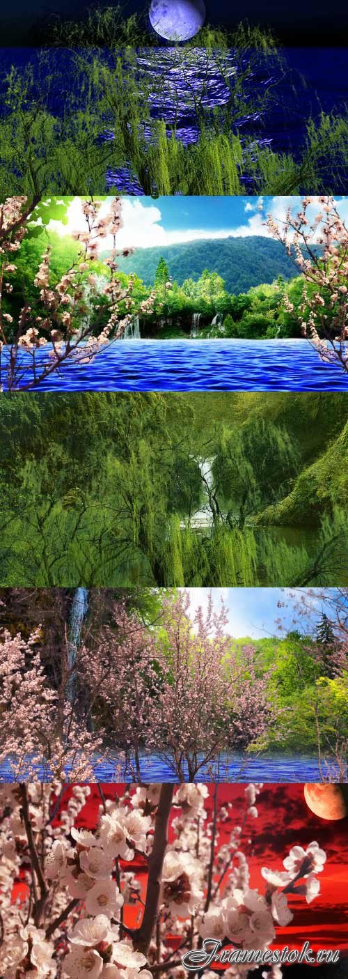 Various nature landscapes