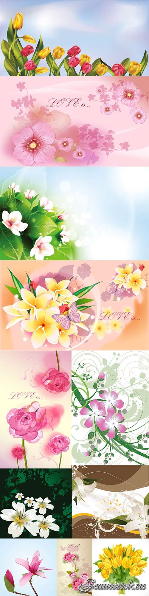 Beautiful vector different flowers - 2