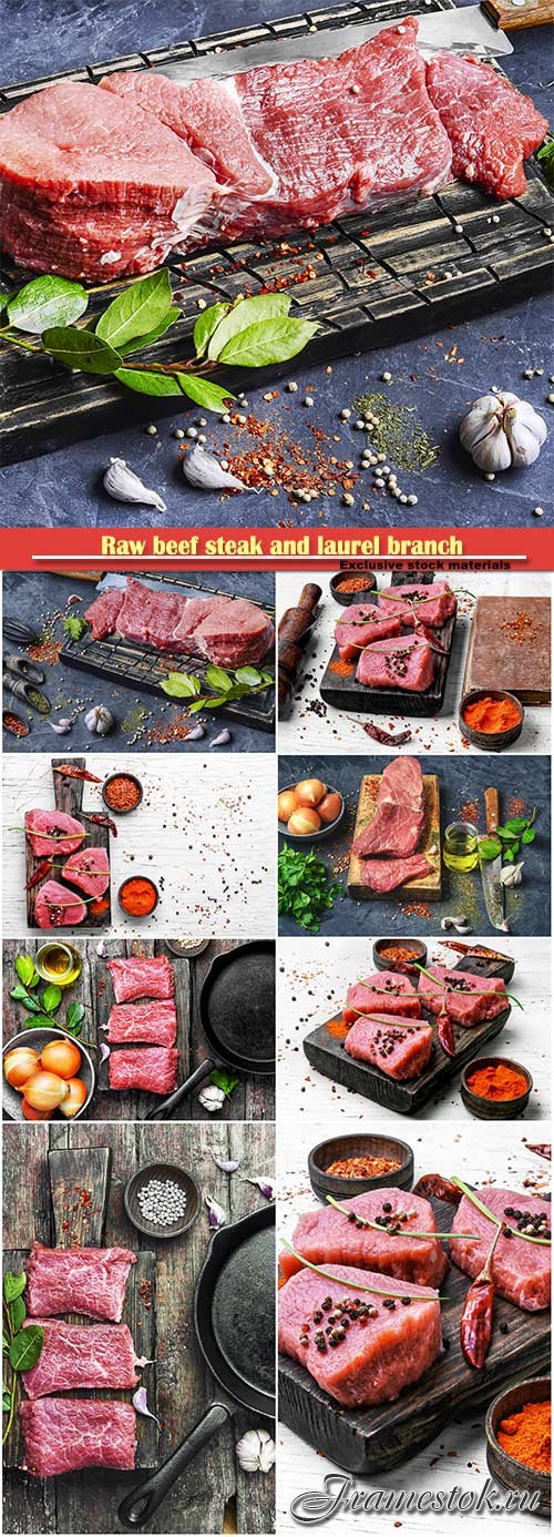 Raw beef steak and laurel branch on vintage background