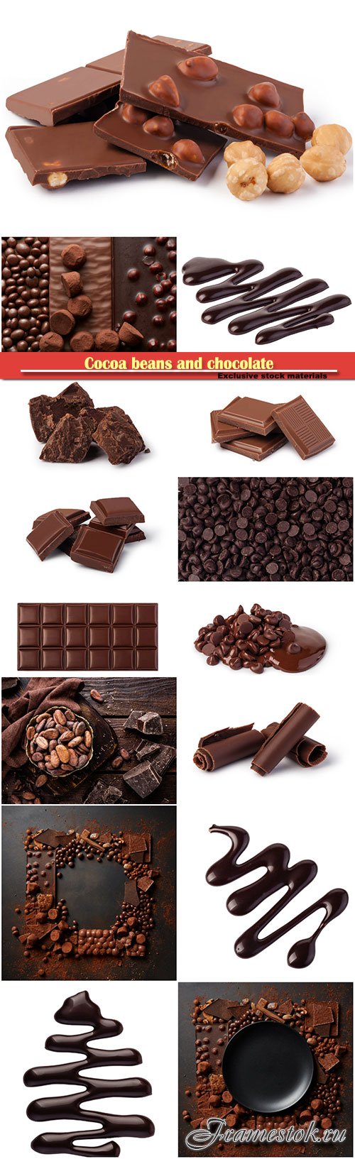 Cocoa beans and chocolate