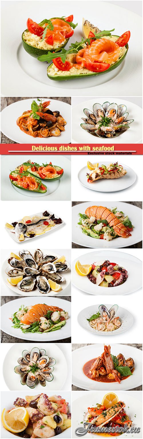 Delicious dishes with seafood, lobster, mussels, octopus, salmon