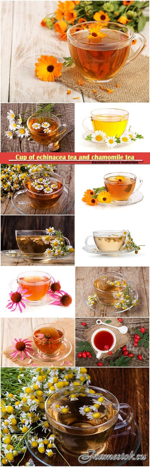 Cup of echinacea tea and medicinal chamomile tea