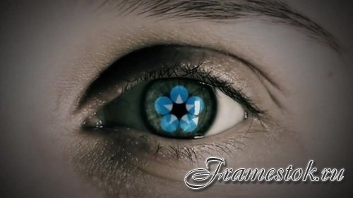 Eye Logo 82271006 - After Effects Templates