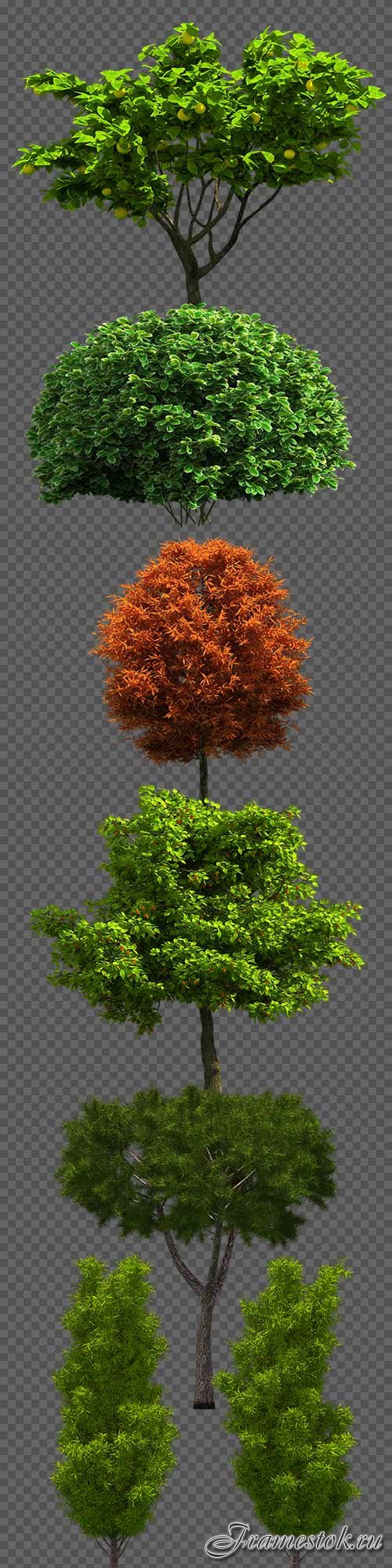 Trees on a transparent background PNG - 7