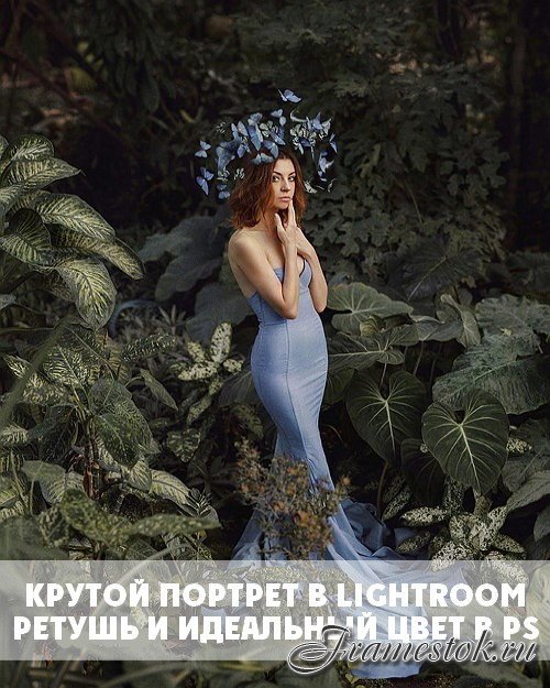    Lightroom.      Photoshop (2017)