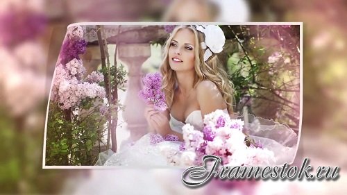 Wedding Slideshow 65356 - After Effects Templates