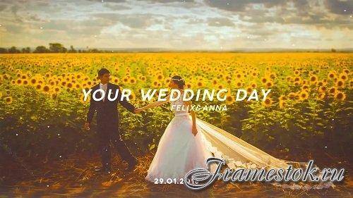 Wedding Day 57606 - After Effects Templates