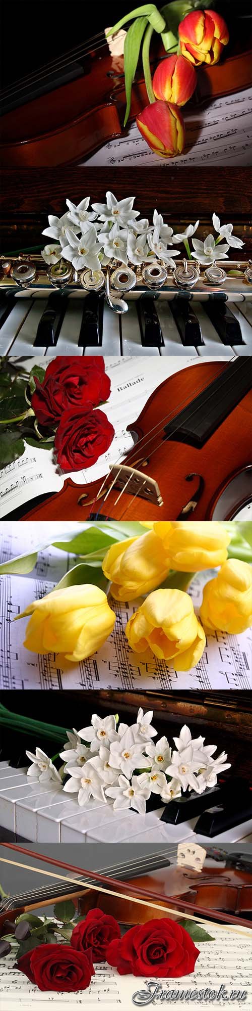 Flowers and music of the 90 photos