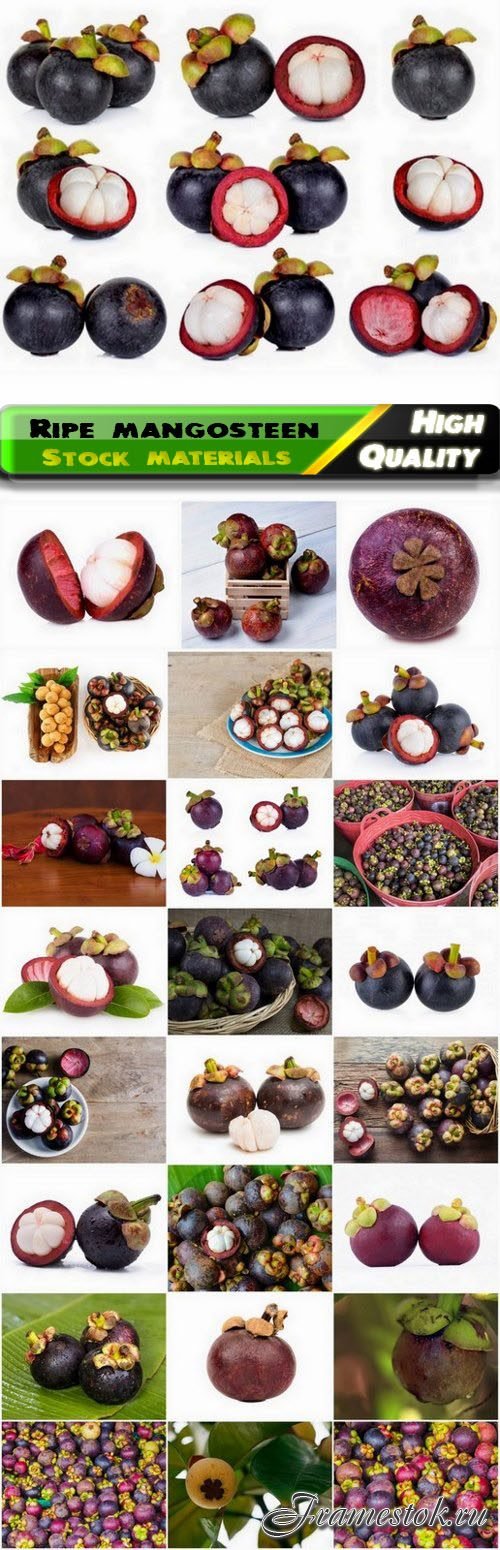 Ripe mangosteen fruit is healthy vitamin food 25 HQ Jpg