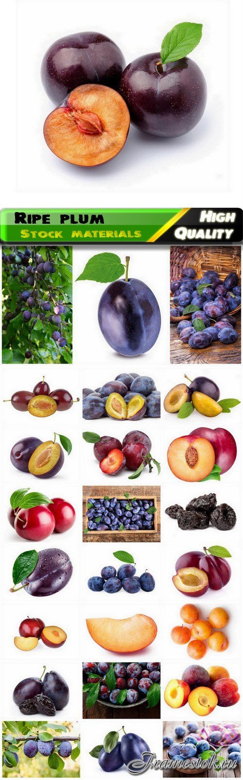 Different varieties of fruit pink and purple plum 25 HQ Jpg