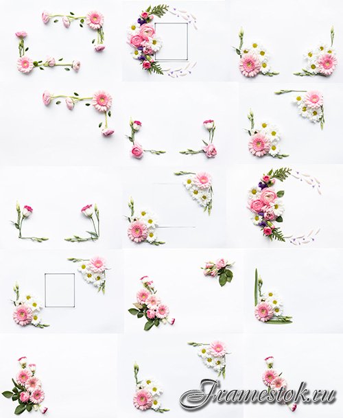      -   / Beautiful flowers on white background - Raster clipart