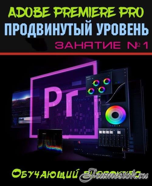 Adobe Premiere Pro.  .  1 (2019)