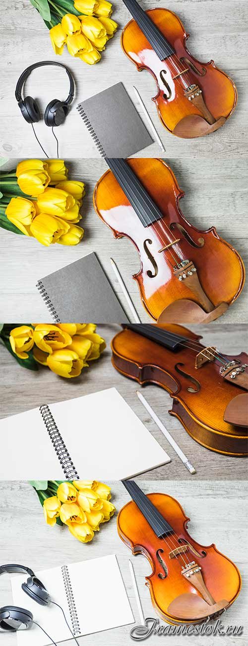       -   / Backgrounds with violin and tulips - Raster clipart