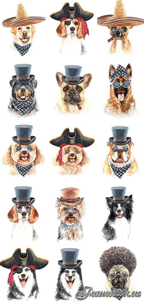     -   / Dog in hat - Vector Graphics