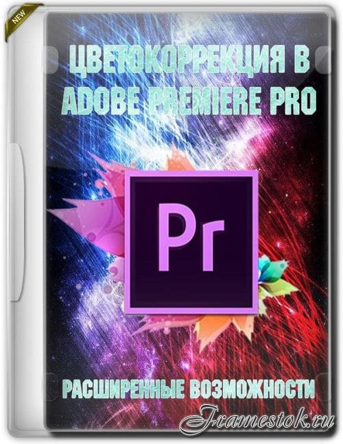   Adobe Premiere PRO.   (2019)