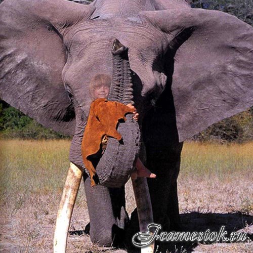 Шаблон для детей - Катание на хоботе слона