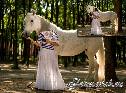Шаблон для photoshop - Фотосессия с белой лошадью в сквере