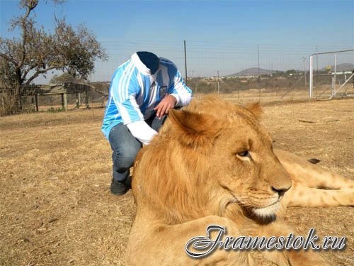 Мужской шаблон - Фотография со львом