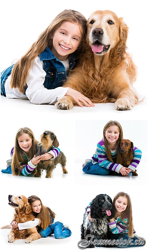 Девочка с породистыми собаками / Girl with pedigreed dogs - Stock photo