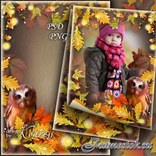 Детская фоторамка для фотошопа с осенней листвой, цветами и симпатичным филином - Осенний лес