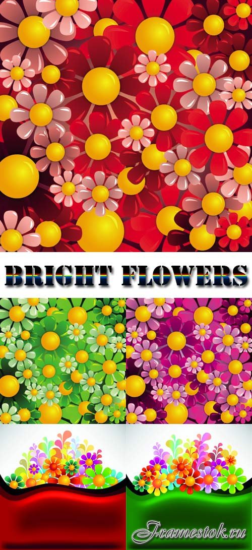 Bright flowers background