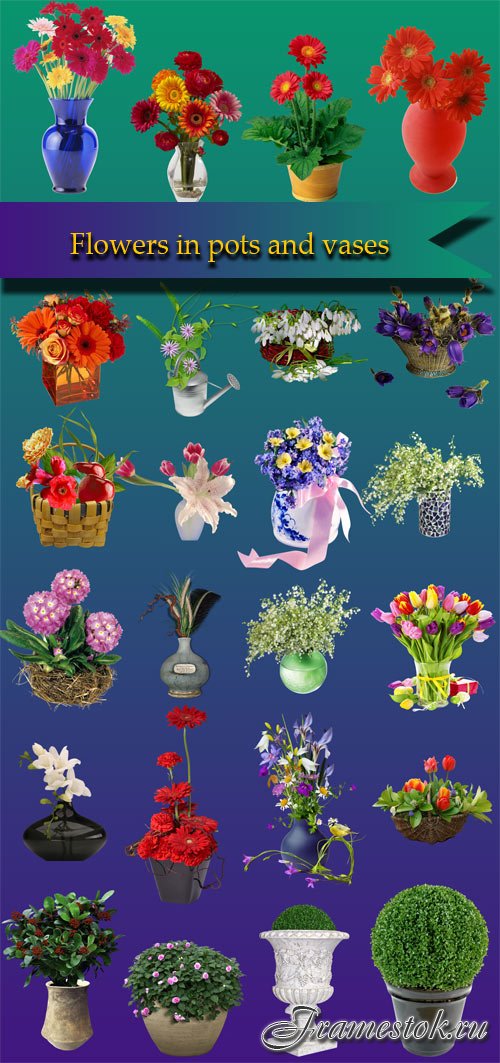 Flowers in pots and vases