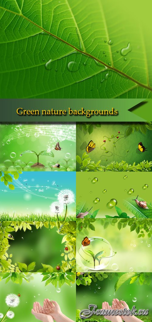Stunning green nature backgrounds
