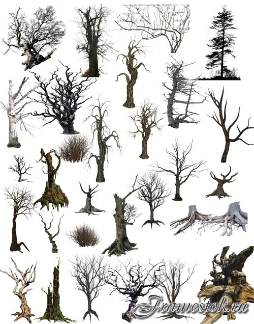 PSD clipart old dead trees
