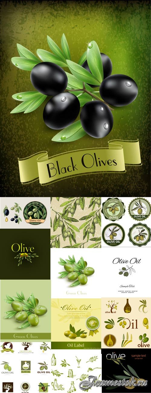 Green and black olives, olive oil
