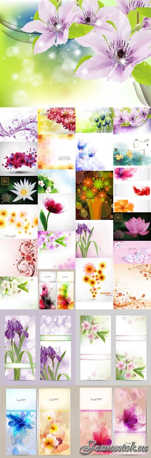Stunning colorful flowers vector