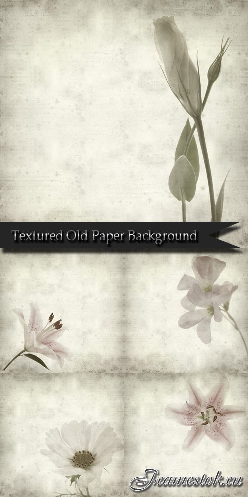 Textured Old Paper Background