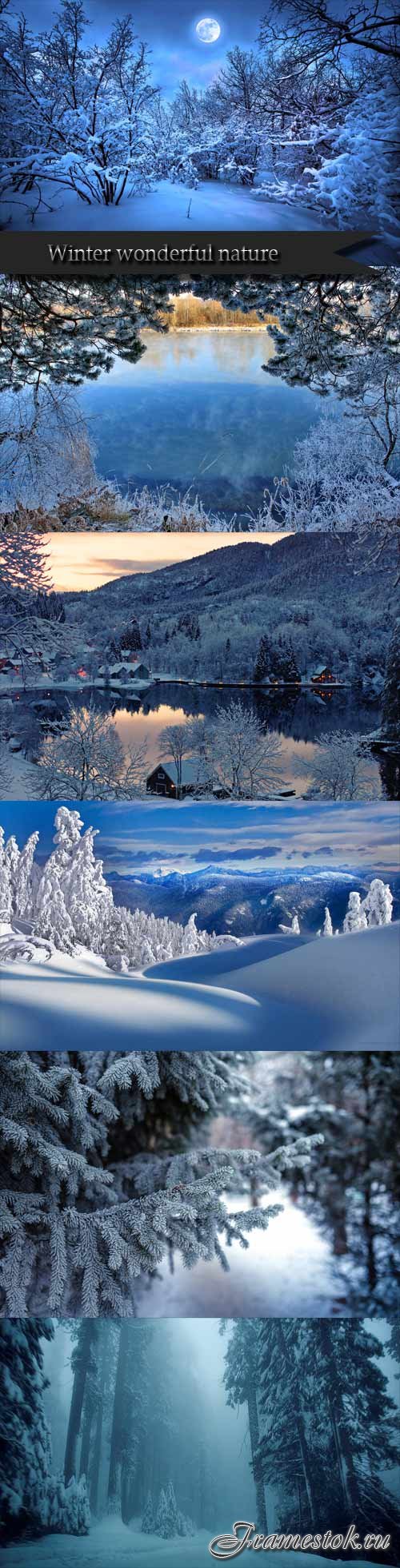 Winter wonderful nature
