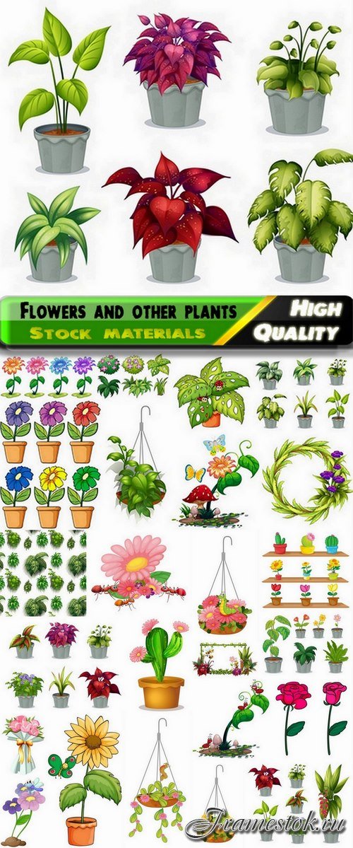 Flowers and other plants in pots - 25 Eps